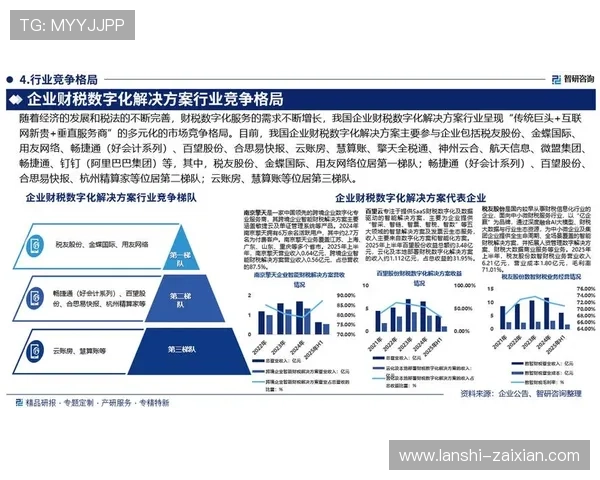 全面解析盈胜国际：行业地位与未来发展前景